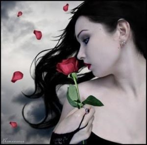 صورة وصف حب عن الوردة في بستاني الجميل