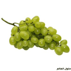 أنواع العنب - العنب الأبيض - حلول العالم