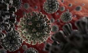 فيروس كوفيد-19 - منظمة الصحة العالمية